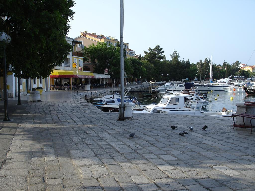 Apartments Petricevic 2 سيلتسي المظهر الخارجي الصورة
